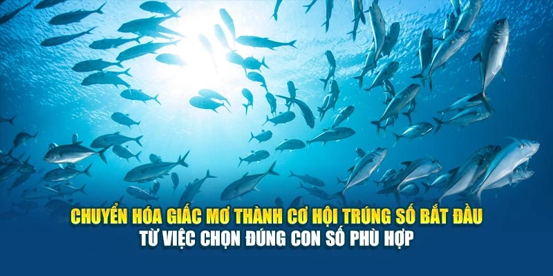 Chuyển hóa giấc mơ thành cơ hội trúng số bắt đầu từ việc chọn đúng con số phù hợp