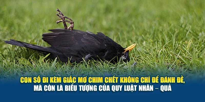 Mơ Thấy Chim Chết Có Ý Nghĩa Gì 78Win? Giải Nghĩa Đầy Đủ 7 Con số đi kèm giấc mơ chim chết không chỉ để đánh đề, mà còn là biểu tượng của quy luật nhân – quả